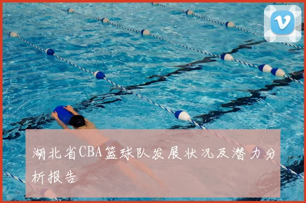 湖北省CBA篮球队发展状况及潜力分析报告
