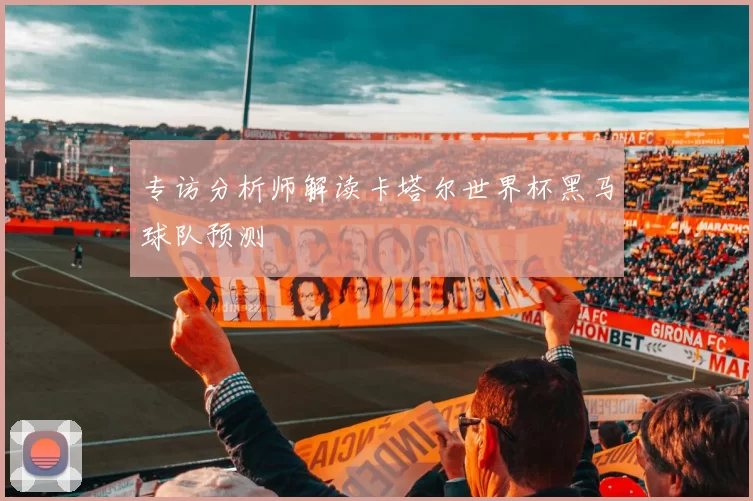 专访分析师解读卡塔尔世界杯黑马球队预测