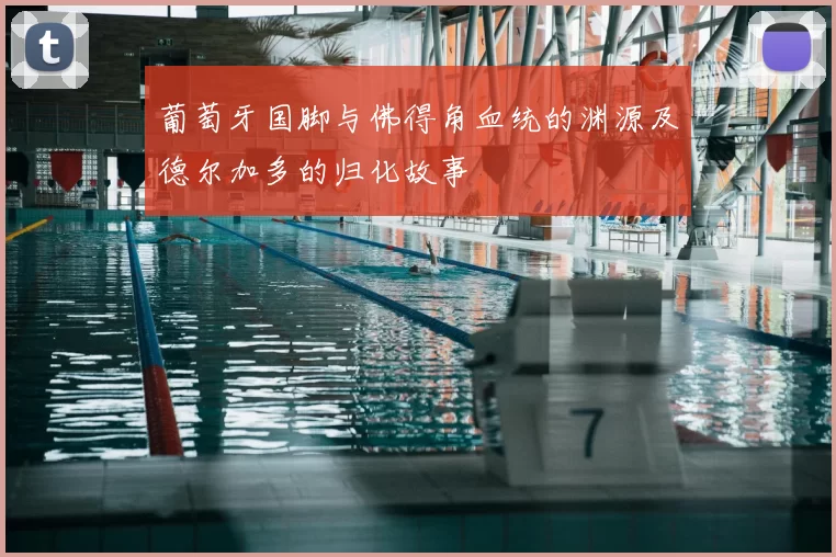 葡萄牙国脚与佛得角血统的渊源及德尔加多的归化故事