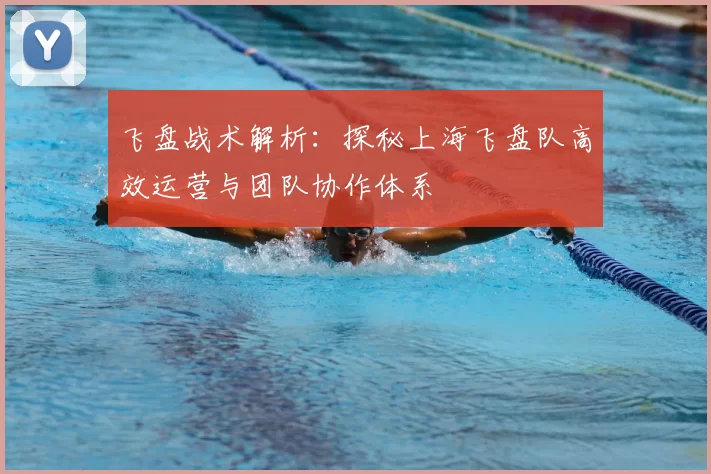 飞盘战术解析：探秘上海飞盘队高效运营与团队协作体系