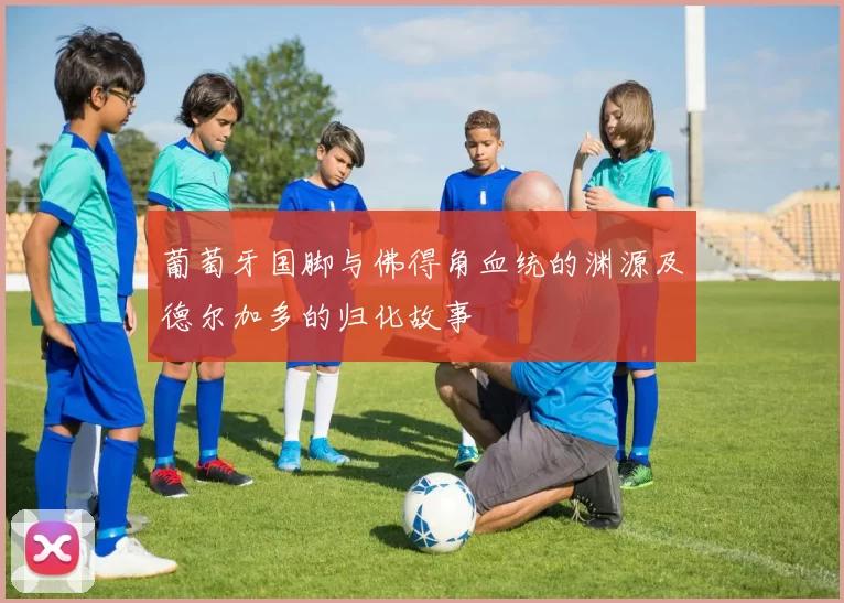葡萄牙国脚与佛得角血统的渊源及德尔加多的归化故事