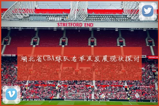湖北省CBA球队名单及发展现状探讨