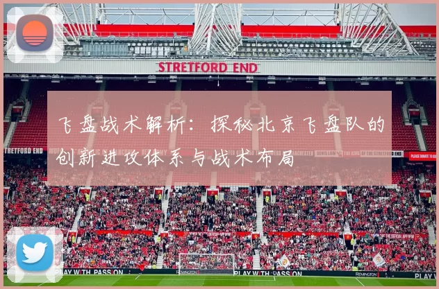 飞盘战术解析：探秘北京飞盘队的创新进攻体系与战术布局