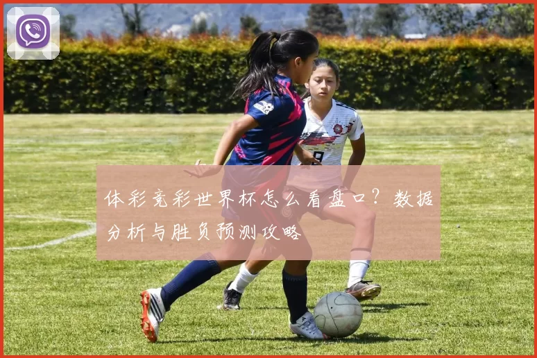 体彩竞彩世界杯怎么看盘口？数据分析与胜负预测攻略