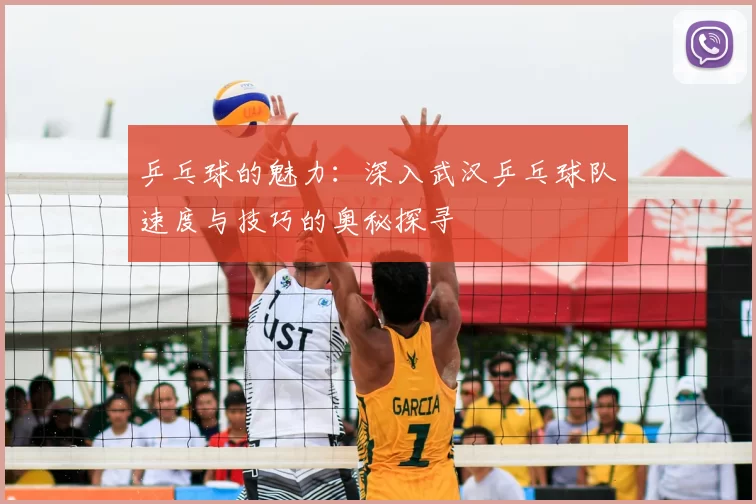 乒乓球的魅力：深入武汉乒乓球队速度与技巧的奥秘探寻