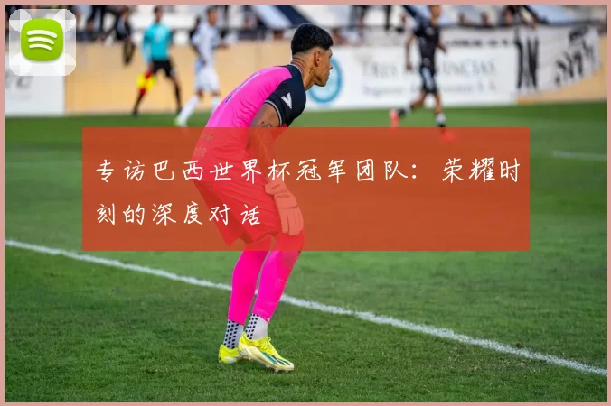 专访巴西世界杯冠军团队:荣耀时刻的深度对话