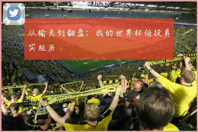 从输光到翻盘：我的世界杯倍投真实经历