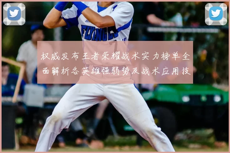 权威发布王者荣耀战术实力榜单全面解析各英雄强弱势及战术应用技巧
