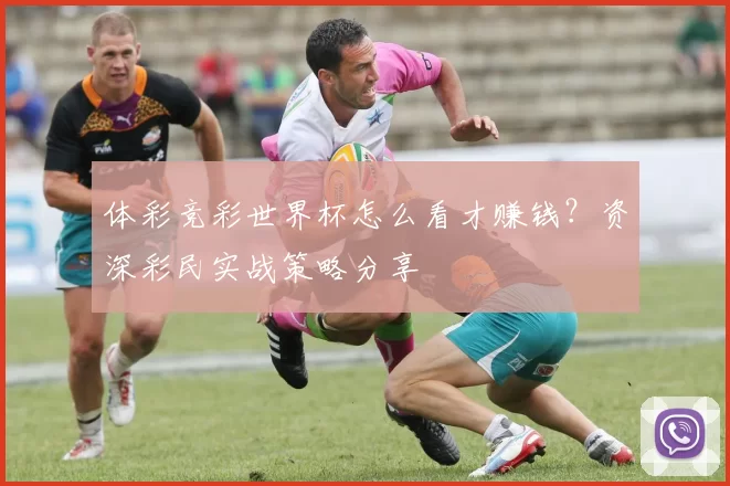 体彩竞彩世界杯怎么看才赚钱?资深彩民实战策略分享