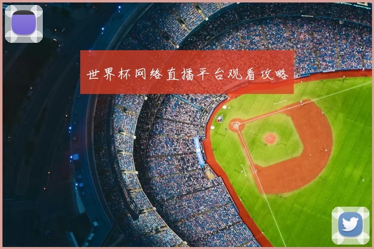 世界杯网络直播平台观看攻略