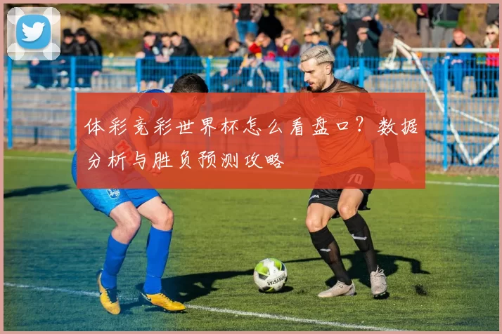 体彩竞彩世界杯怎么看盘口？数据分析与胜负预测攻略