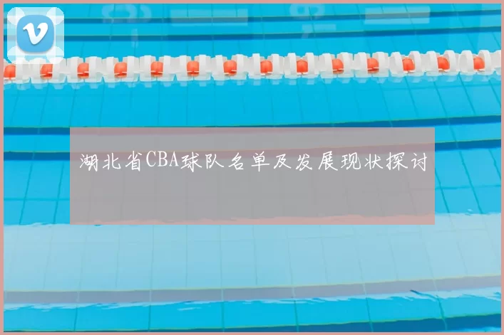 湖北省CBA球队名单及发展现状探讨