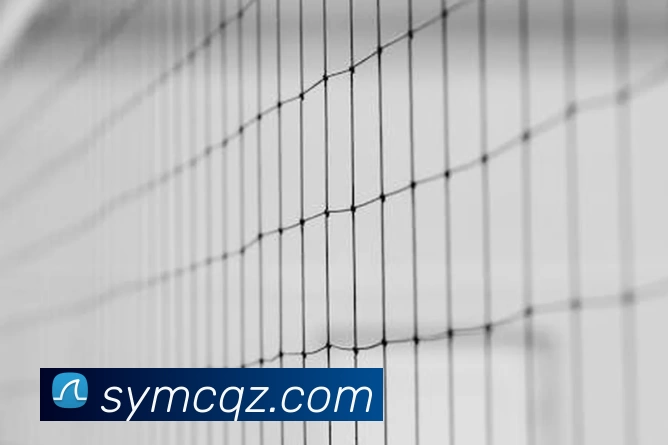 线上买球服务体系