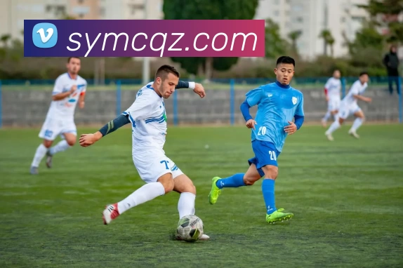 多媒体互动体验